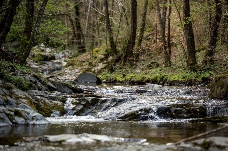 Sant Hilari Sacalm (Natura)