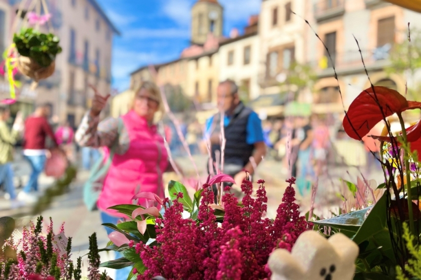 Viladrau (Fira Castanya)