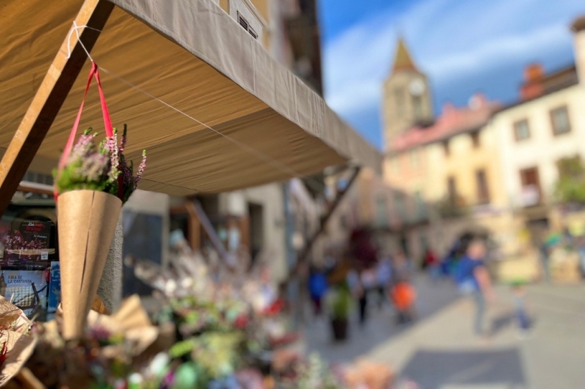 Viladrau (Fira Castanya)