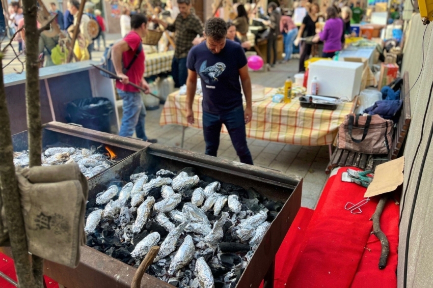 Viladrau (Fira Castanya)