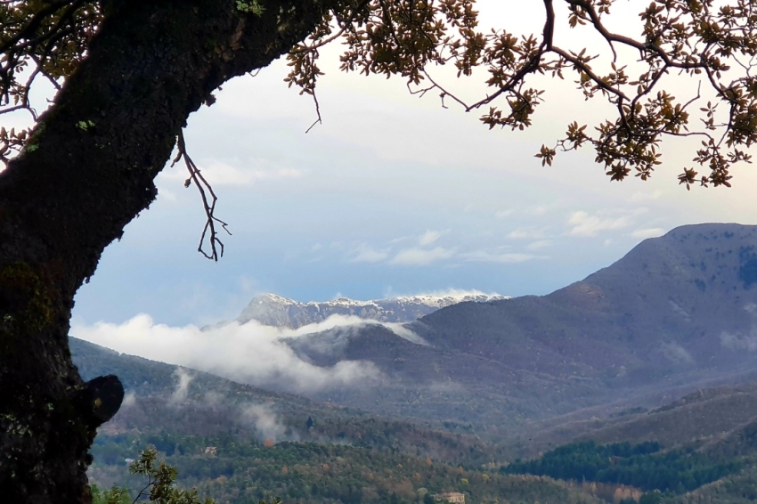 Viladrau (Muntanyes)