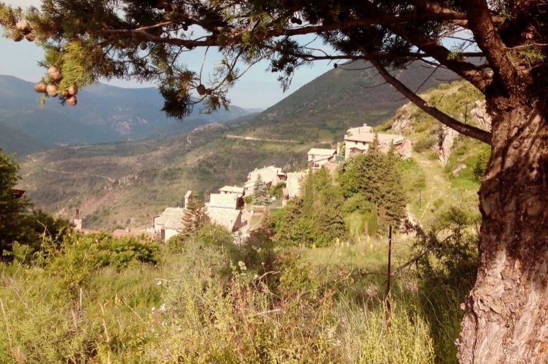 Coll de Nargó (Natura)