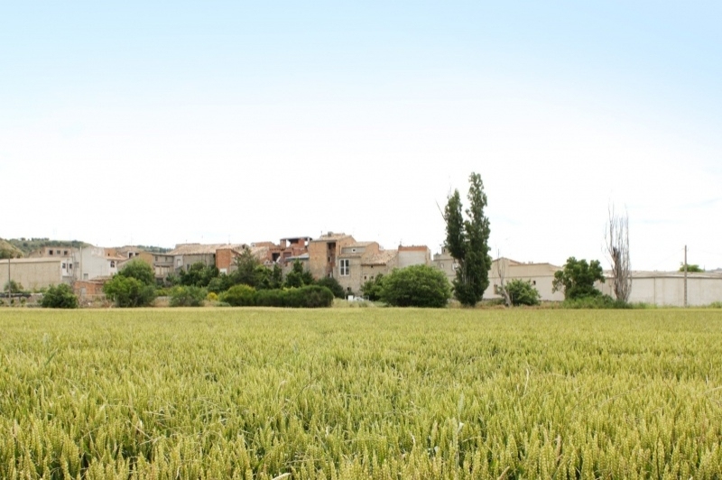 Cervera (Agregats)
