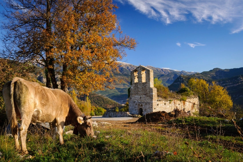 Guardiola de Berguedà (Ermita Sant Climent Torre De Foix)