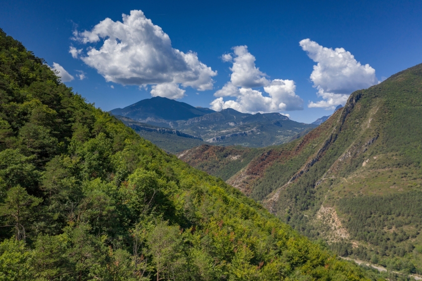 Guardiola de Berguedà (Vall De L Alt Bergueda)