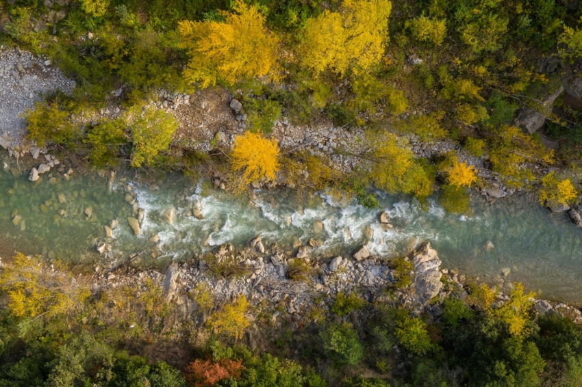 Guardiola de Berguedà (Riu Llobregat)