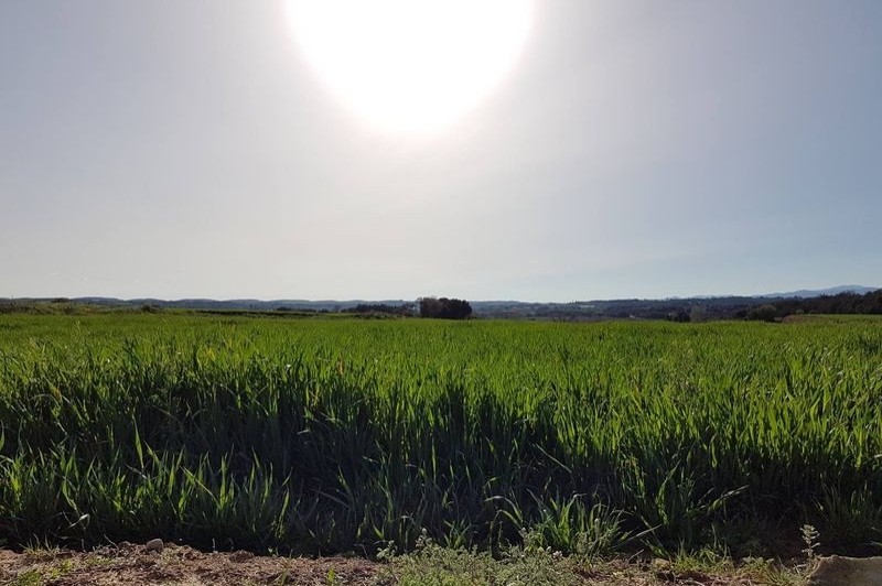 Montgai (MONTGAI 20)