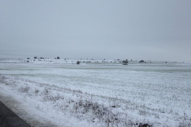 Montgai (MONTGAI 25)