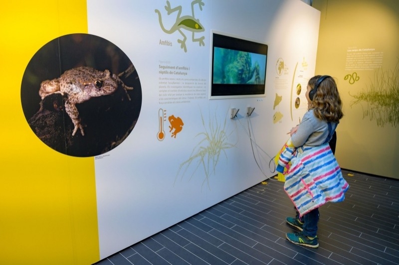 Granollers (Museu De Ciencies Credits Torrillas)