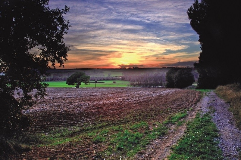 Mollet del Vallès (Camps De Gallecs)