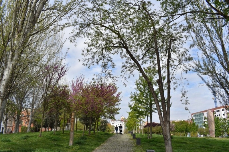 Mollet del Vallès (Parc Pruneres 02)
