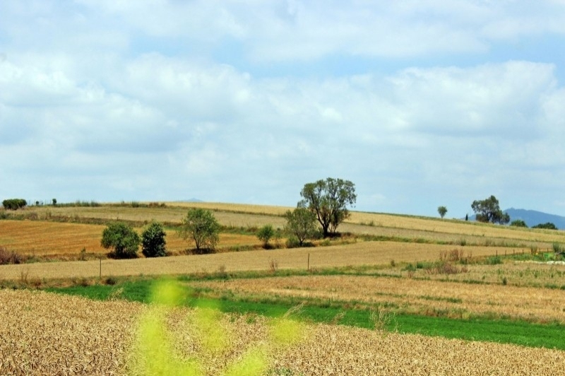 Mollet del Vallès (Gallecs 04)