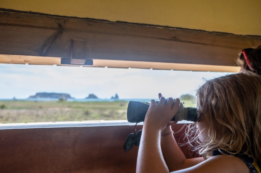 Torroella de Montgrí - LEstartit ( Pletera Medes)