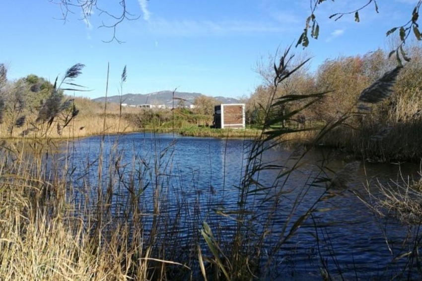 El Pla de Santa Maria (Aiguamolls)