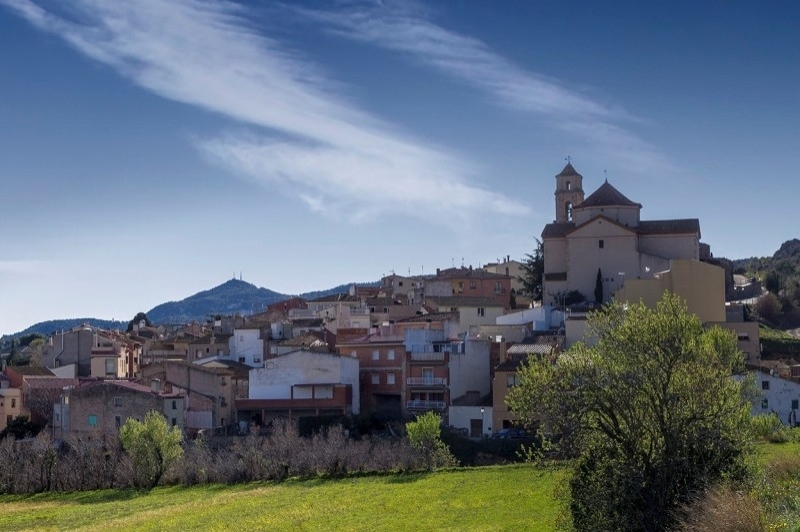 Figuerola del Camp (Figuerola1)