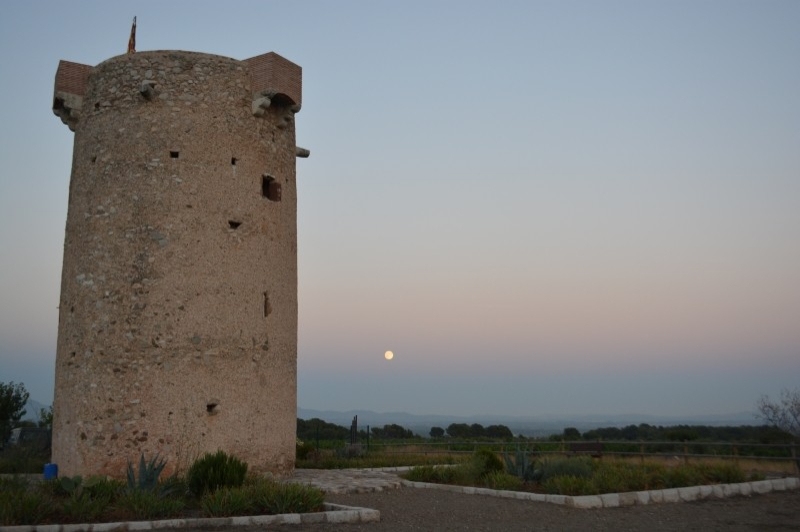 Figuerola del Camp (Figuerola)