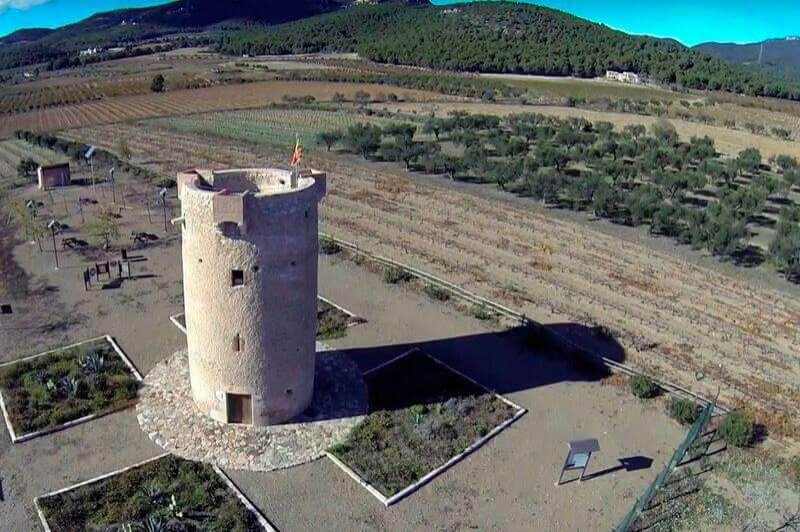 Figuerola del Camp (Vinyes)