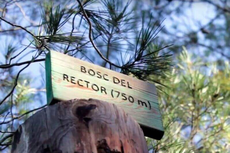 Figuerola del Camp (Bosc Del Rector)