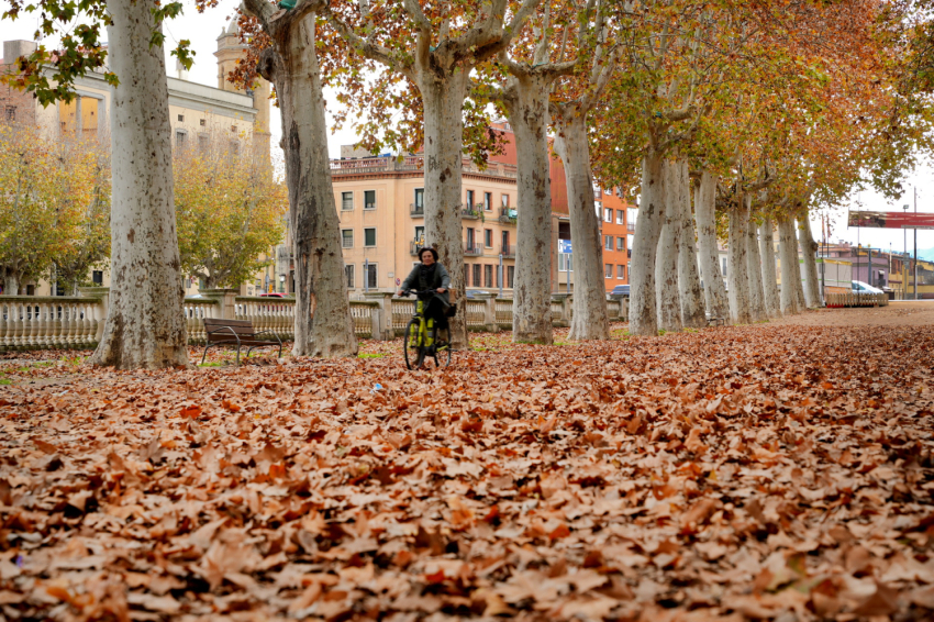 La Bisbal dEmpordà (Tardor La Bisbal D Emporda)