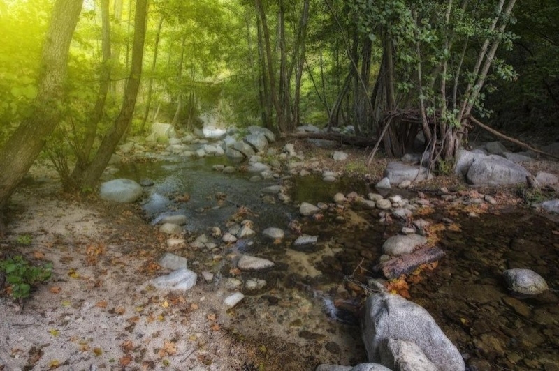 Maçanet de Cabrenys (Gorga De Les Dones)