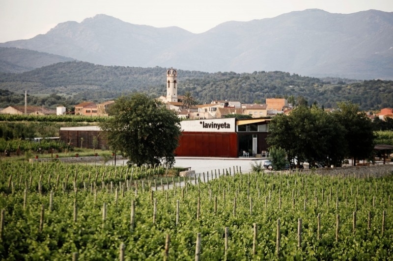 Mollet de Peralada (Vinyes)