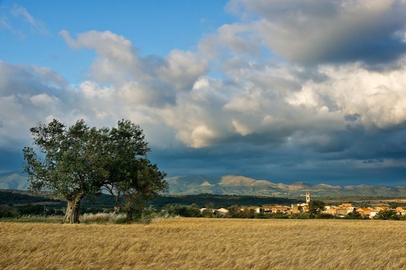 Mollet de Peralada (Mollet 25)