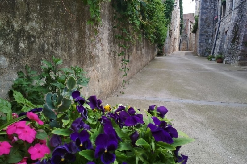 Vilanant (Vilanant Carrer)