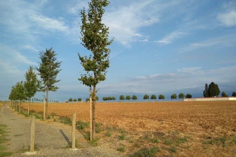 Vilanant (Vilanant Paisatge)