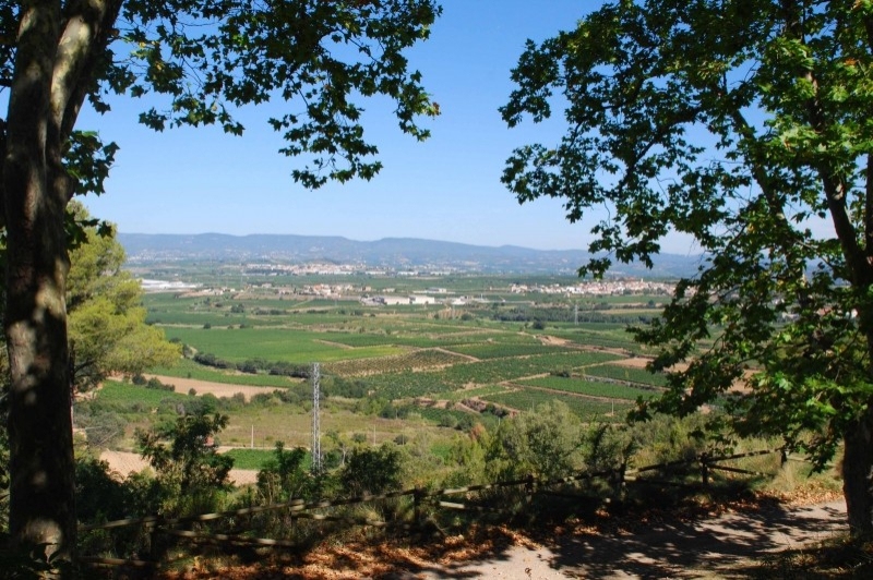 Sant Cugat Sesgarrigues (Vistes)