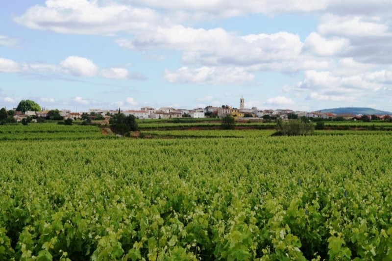 Sant Cugat Sesgarrigues (Camps)