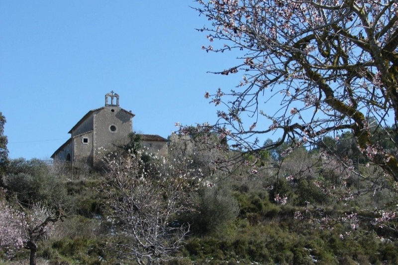 Santa Margarida i els Monjos (Santa Margarida I Els Monjos)