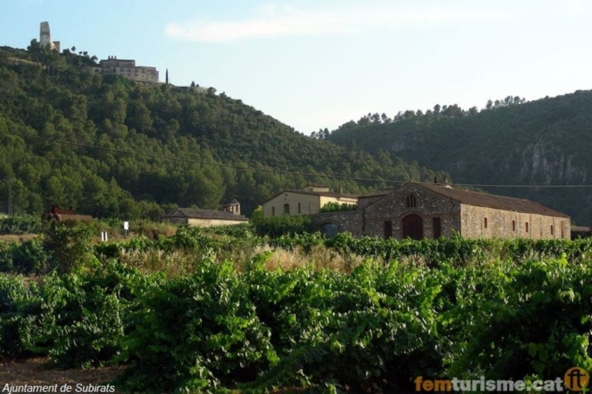 Subirats (Castell De Subirats Des De Vinyes Torre Ramona)