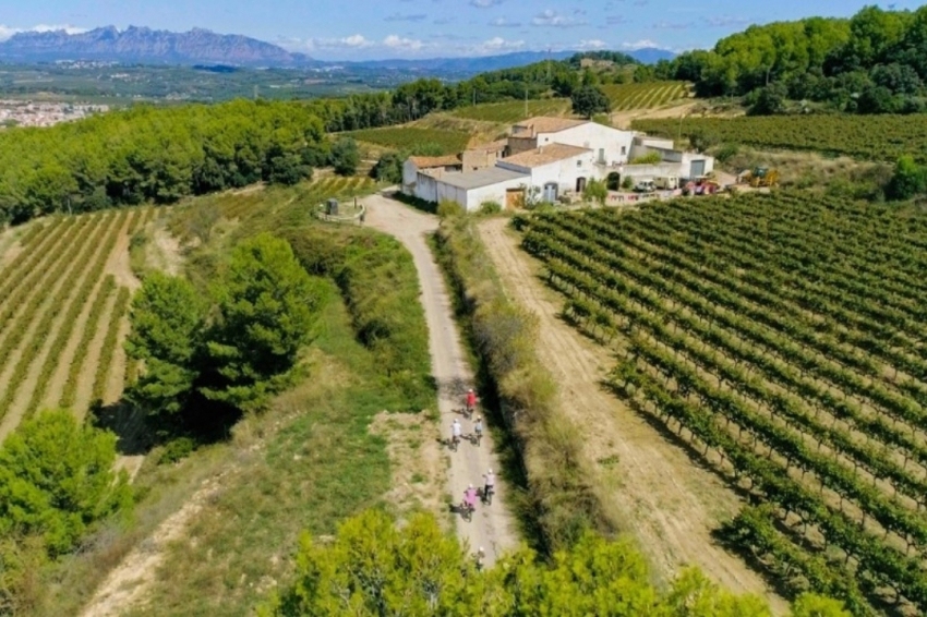 Subirats (Pedala I Tasta 1)