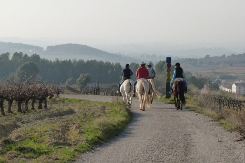 Subirats (Passejades Entre Vinyes A Cavall)