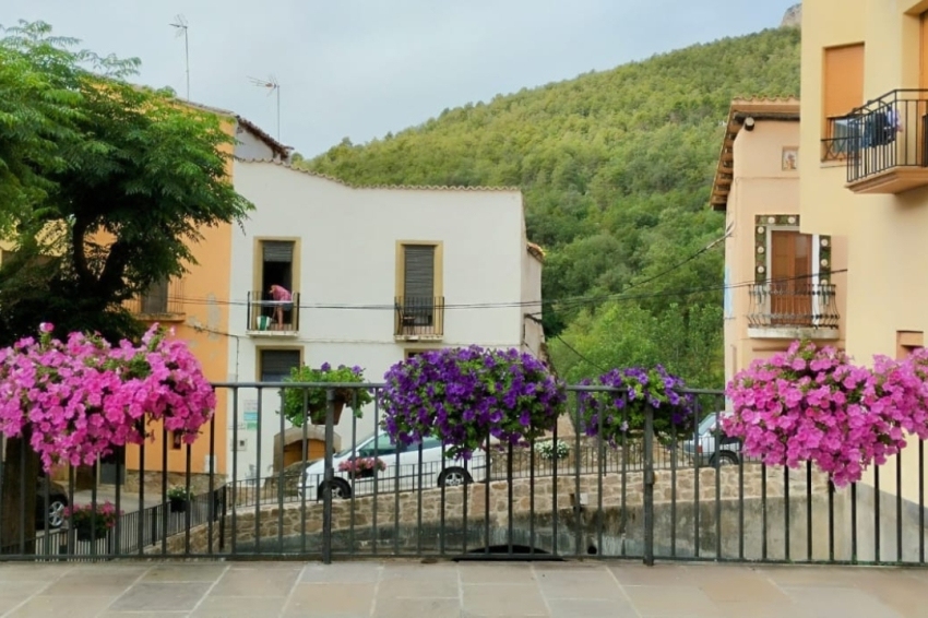 Peramola (Carrer Amb Flors)