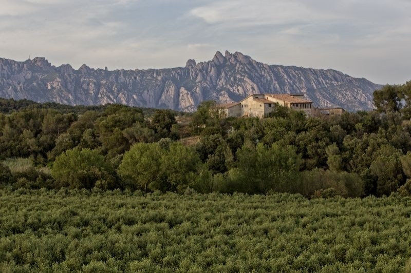Els Hostalets de Pierola (Can Carreras)