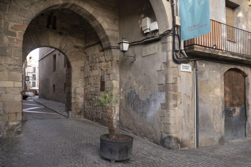 Igualada (Les Muralles Portal Den Vives Igualada)