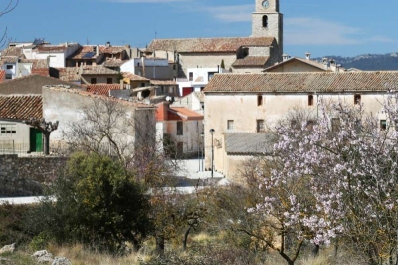 La Llacuna (Vistes 2)