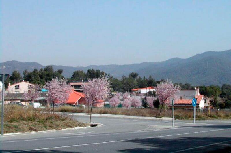 La Torre de Claramunt (Carrerrs)
