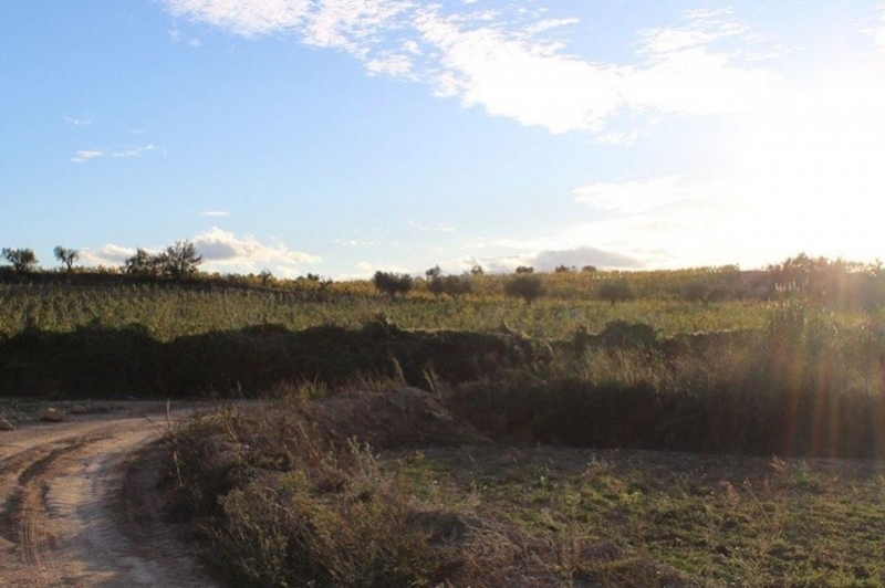 Piera (Camins I Senders Per Piera)