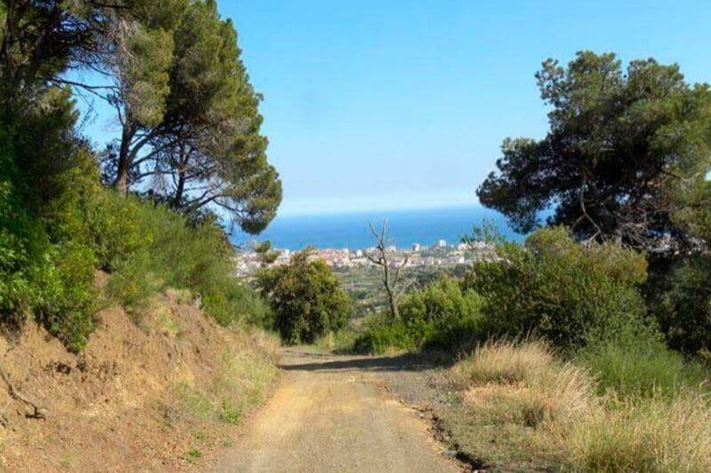 Pineda de Mar (Parc Montnegre 01)