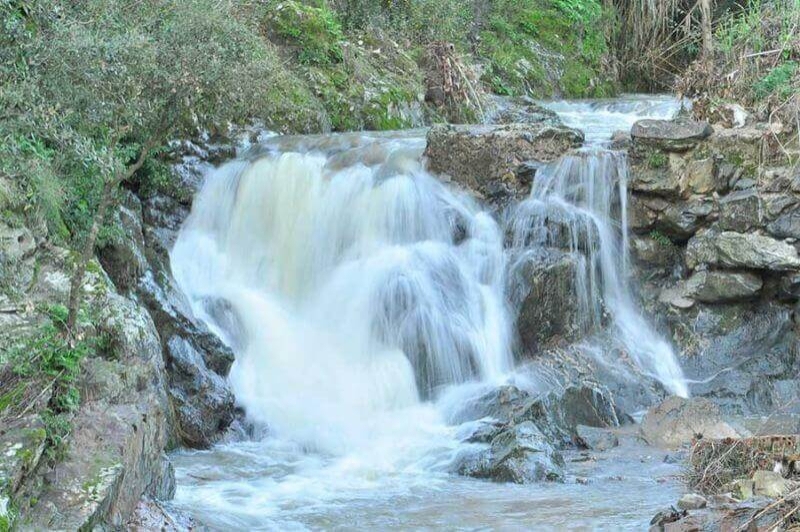 Pineda de Mar (Parc Montnegre)