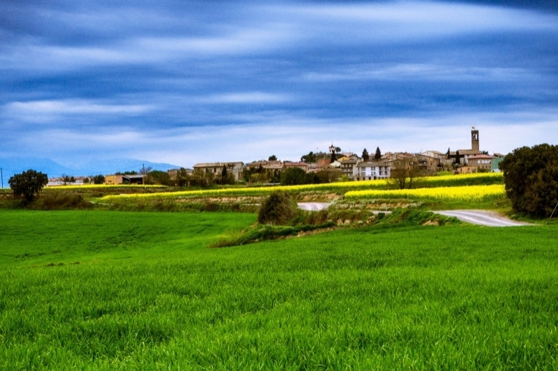 Sant Feliu Sasserra (Sant Feliu Sasserra)