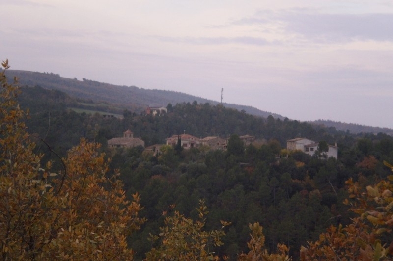 Sant Mateu de Bages (Santmateudebages Paisatge)