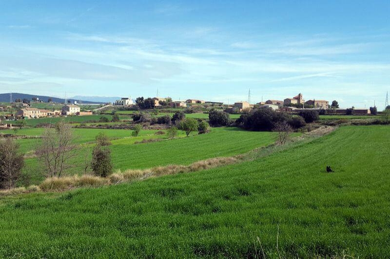 Sant Mateu de Bages (Sant Mateu De Bages)