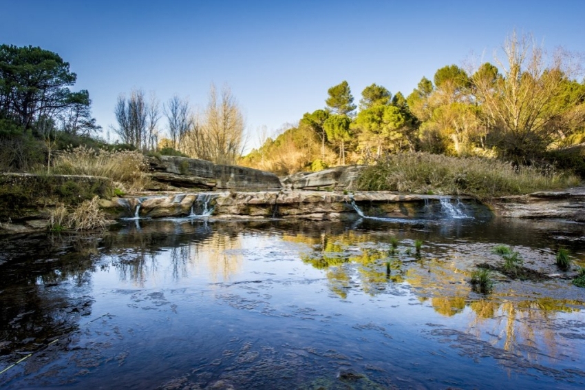 Sant Salvador de Guardiola (Sant Salvador De Guardiola)