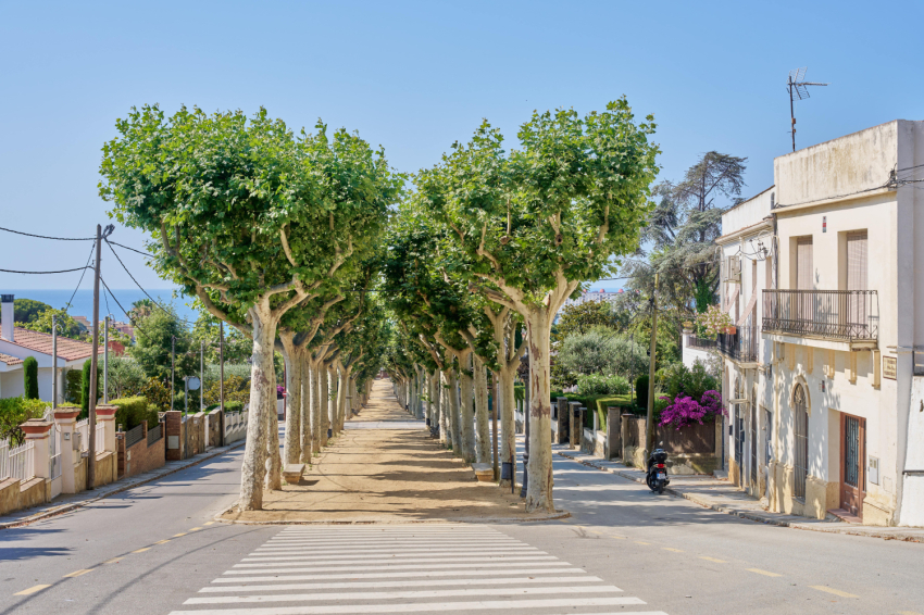 Canet de Mar (Canet De Mar)