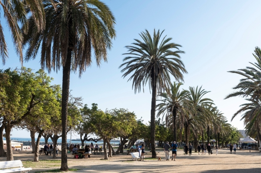 Mataró (Mataro Vistes)