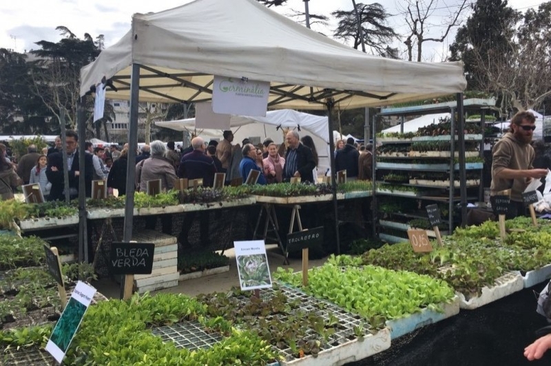 Mataró (Mataro Fira)