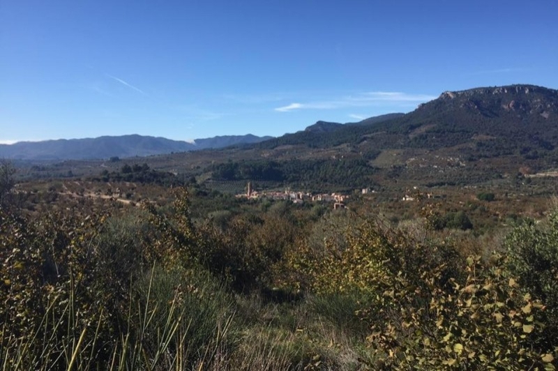 Vilaplana (Poble Vilaplana)